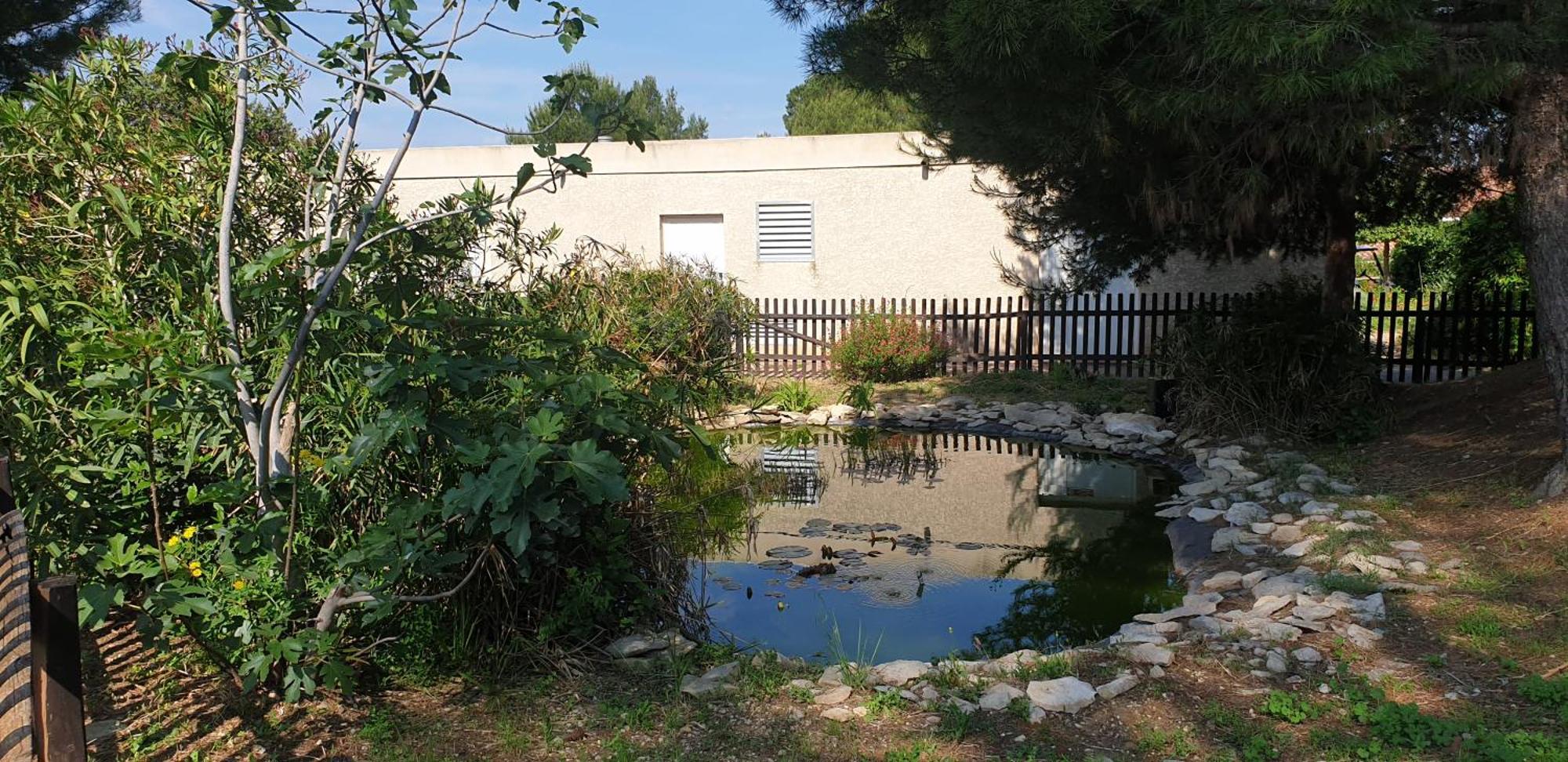 Maison"La Cigale Du Sud" Calvisson Exterior photo
